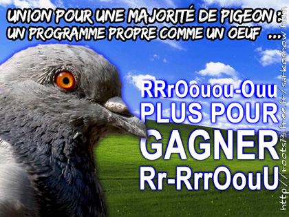 Le CV de Sarkozy, inattendu candidat à la présidentielle - Page 2 Pigeon2012